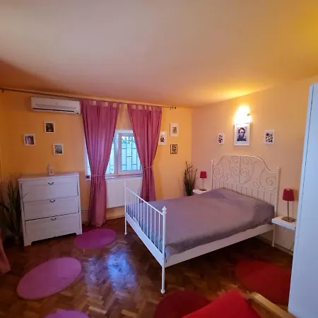 Casa Alex Faleza Nord